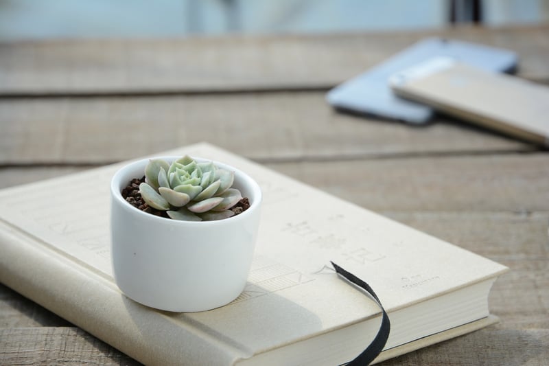 Handmade garden items